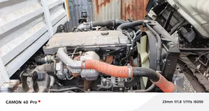 Isuzu Truck NQR, Local on Quick Sale