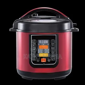 Pressure and Rice Cooker WITH 5L Capacity and 800W