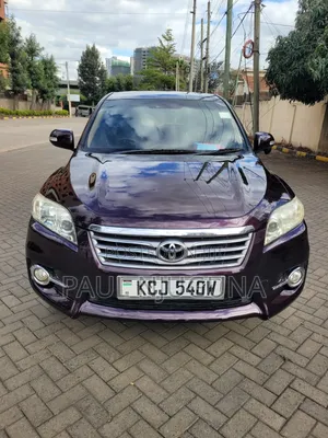 Toyota Vanguard 2009 Purple