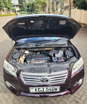 Toyota Vanguard 2010 Purple