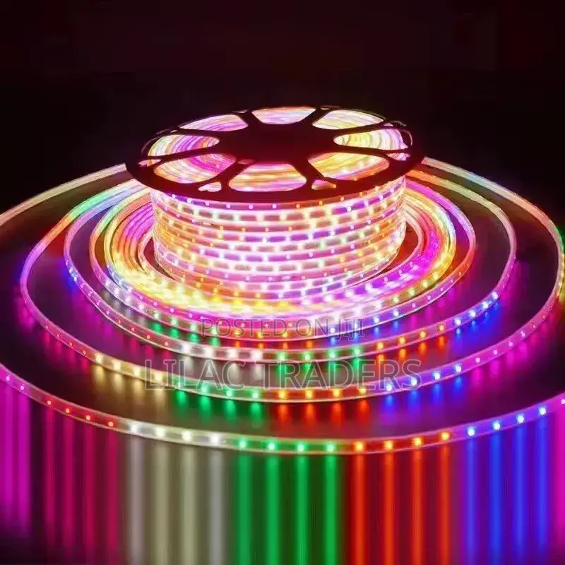 LED Rope Light for Indoor and Outdoor Decoration 
 Per Meter@250 Davy