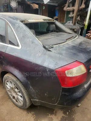 Carshield Windscreen