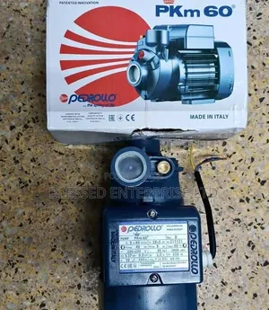 New Arrival 0.5hp Pedrollo Booster Pump Machine/Booster Pump