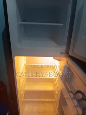Electronic  Fridge