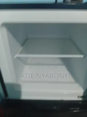 Electronic  Fridge