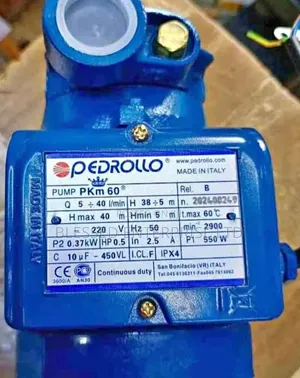 New Arrival 0.5hp Pedrollo Booster Pump Machine/Booster Pump