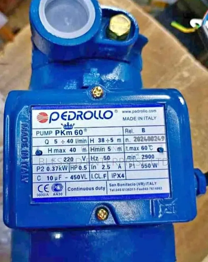 New Arrival 0.5hp Pedrollo Booster Pump Machine/Booster Pump