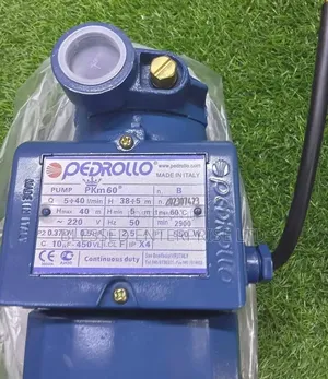 Back in Stock Pedrollo Water Pump/Commercial Water Pump