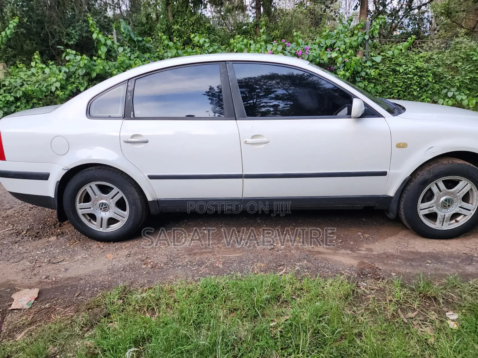 Volkswagen Passat 1999 White