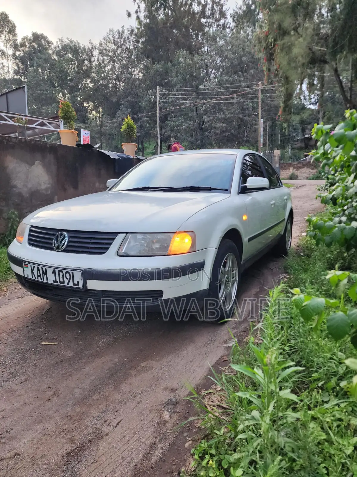 Volkswagen Passat 1999 White