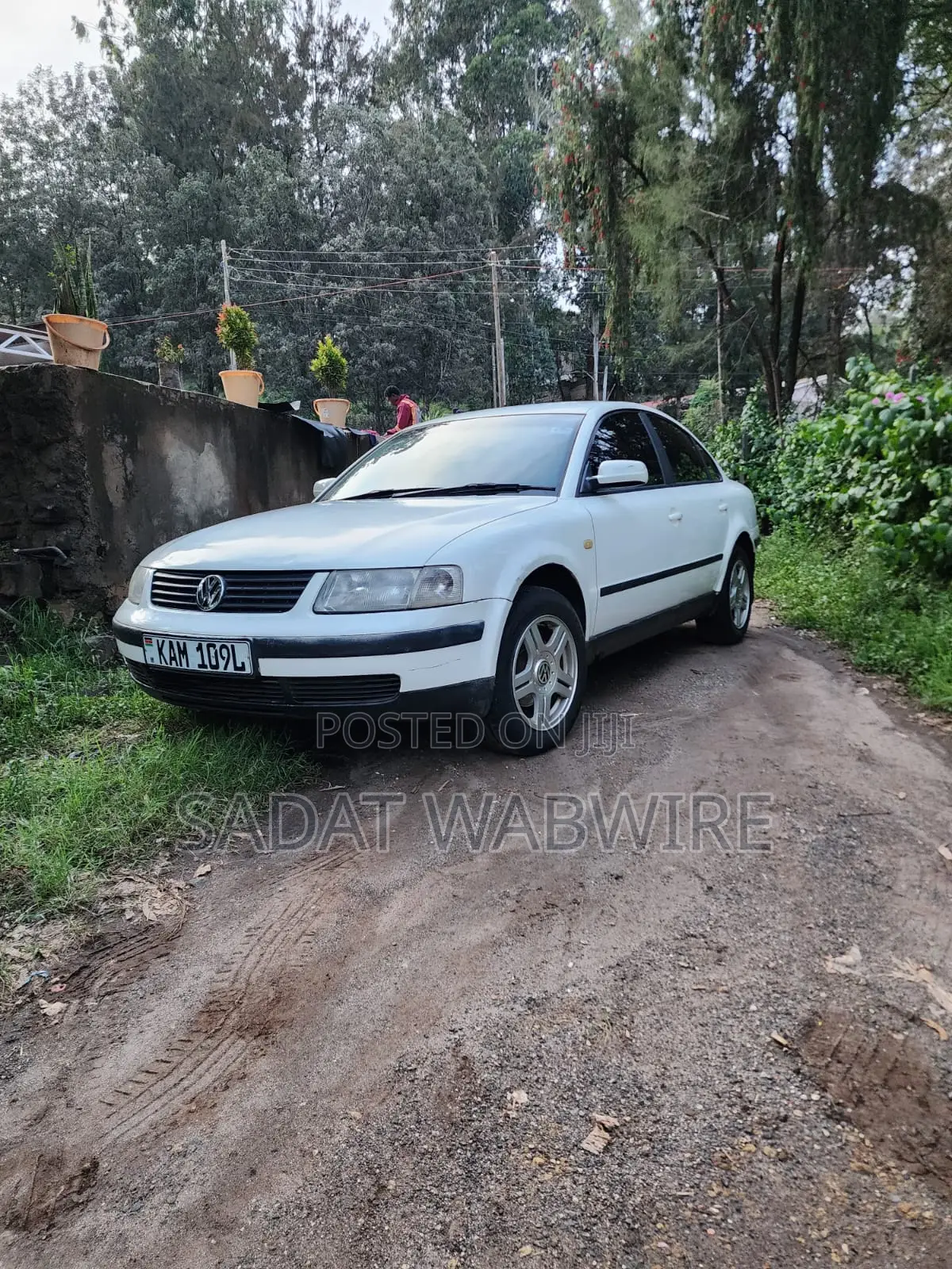 Volkswagen Passat 1999 White