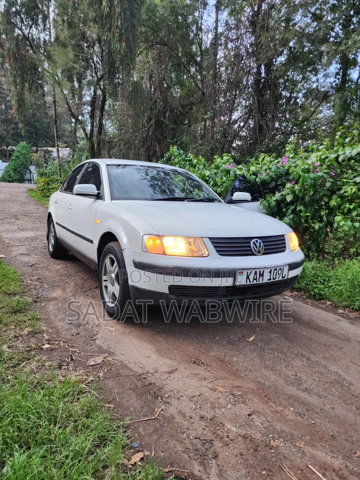 Volkswagen Passat 1999 White