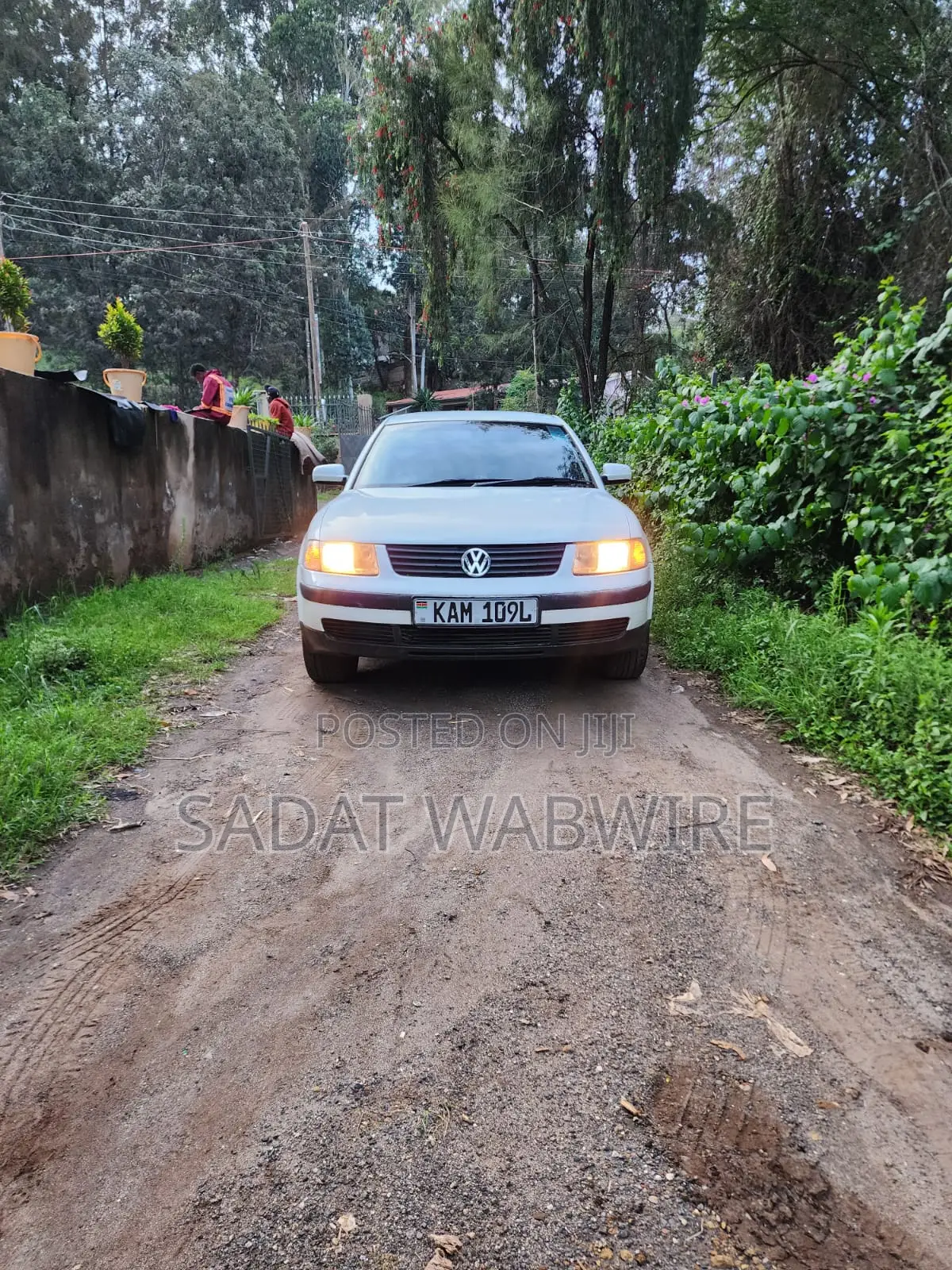 Volkswagen Passat 1999 White