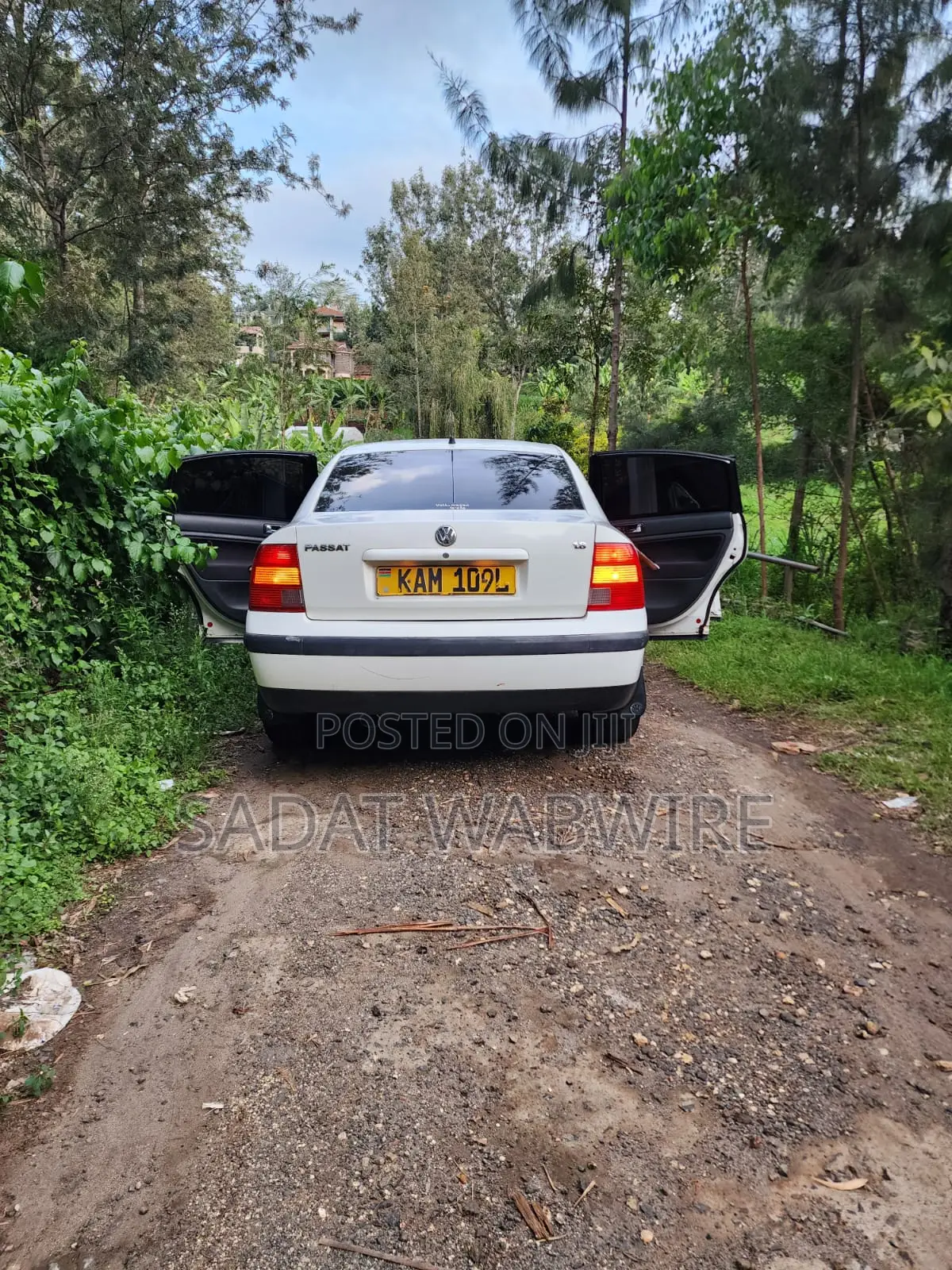 Volkswagen Passat 1999 White