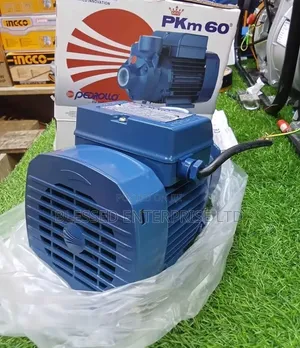 Pkm60 Pedrollo Water Pump 0.5hp/Original Pedrollo