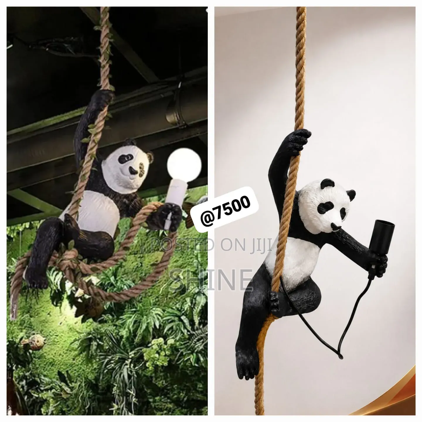 Panda Hanging  Light