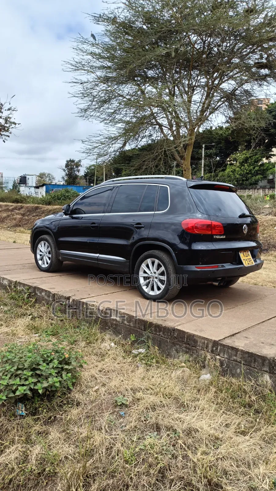 Volkswagen Tiguan 2013 Black