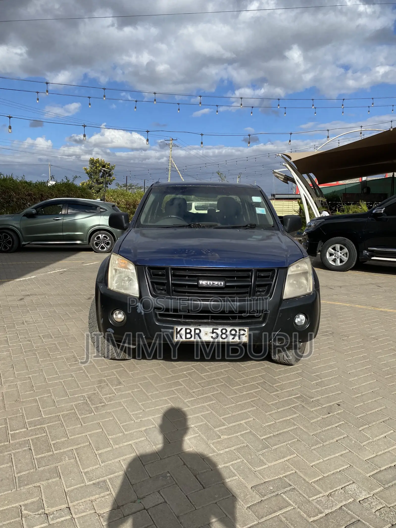 Isuzu D-MAX 2010 Blue