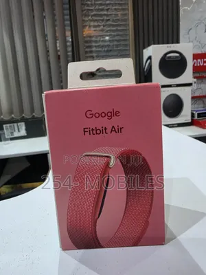 Google Fitbit Air