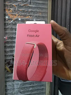Google Fitbit Air
