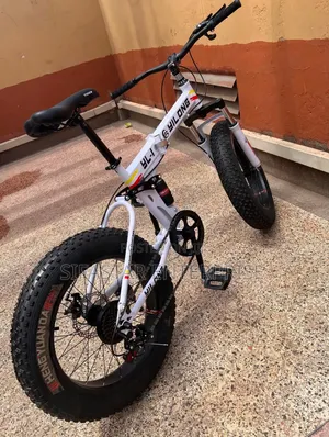 Fat Foldable Bike Size 20