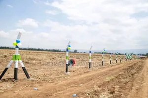 50*100plots in Sobea