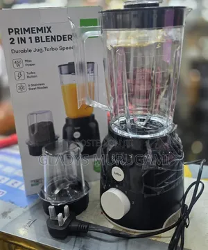 2 in 1 Synix Blender