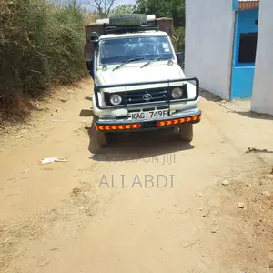 Toyota Land Cruiser 1996 Off white