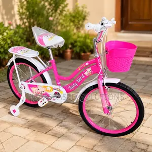 Lady Bird Size 20 Kids Bicycle With Training Wheels