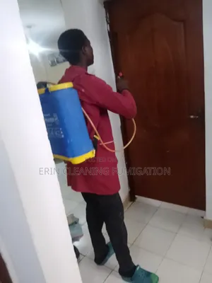 Cleaning of Couch in Hotels / Fumigation Services