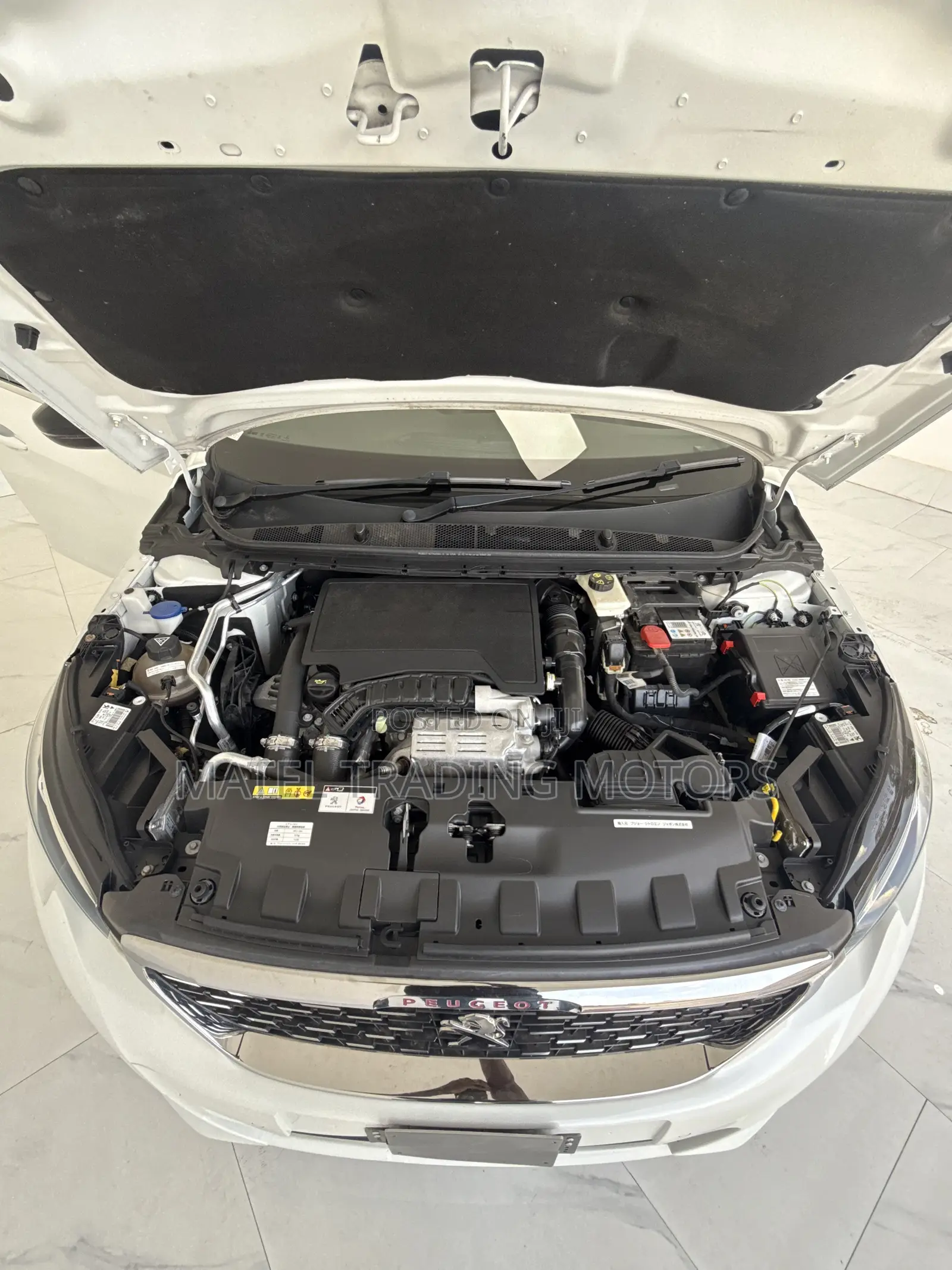 Peugeot 308 2019 White