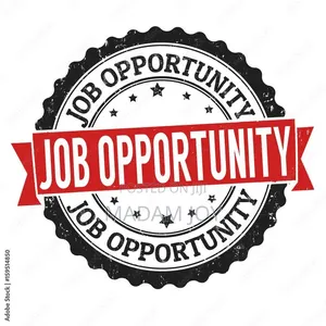 Sales Person