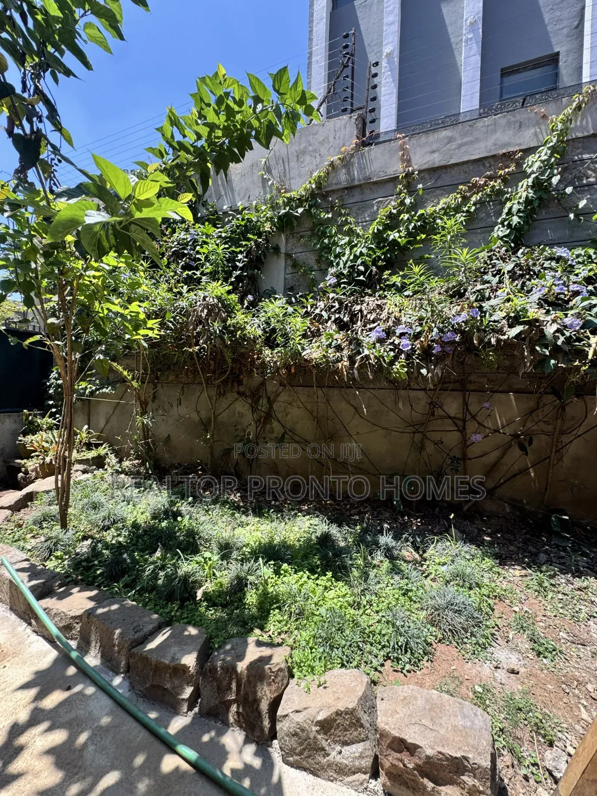 Mini Flat in Lavington, Muthangari for rent