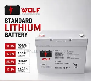 Standard Lithium Battery