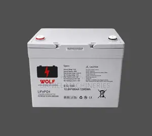 Standard Lithium Battery