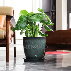 Planters for Indoor/Outdoor Plants