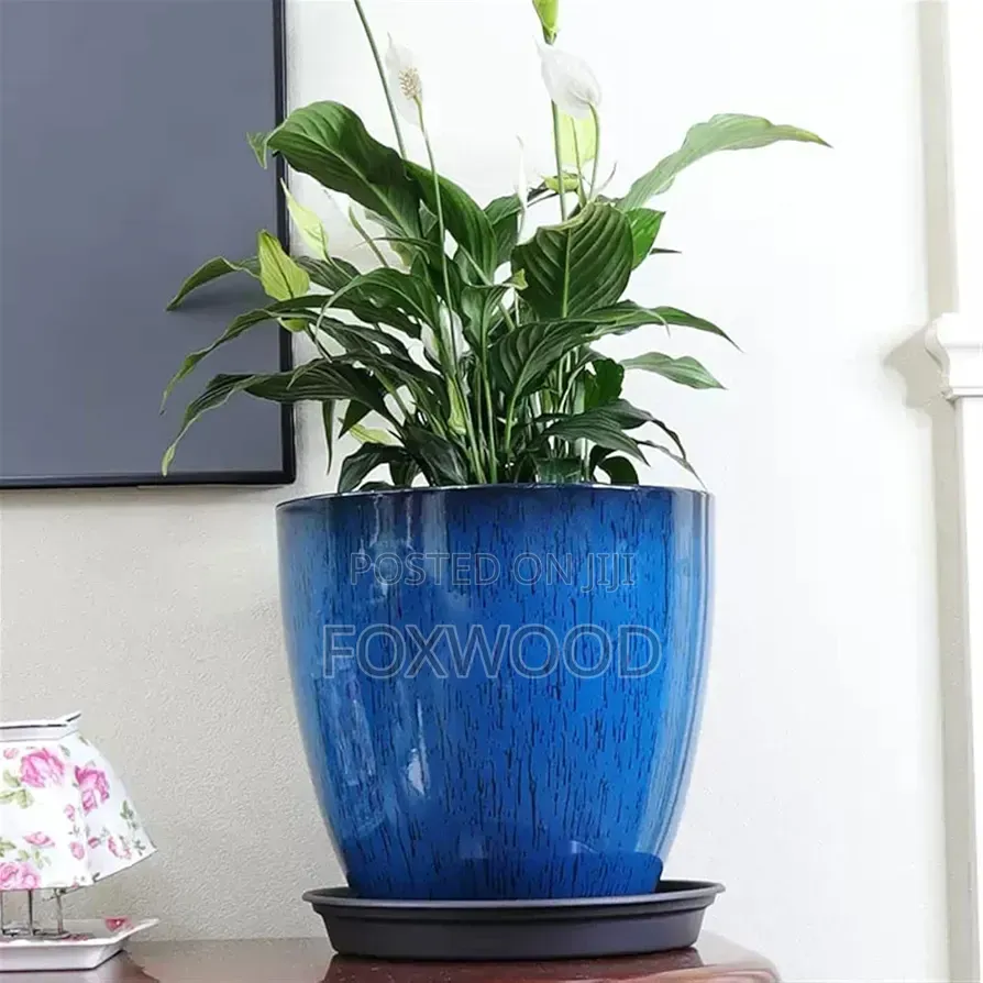 Planters for Indoor/Outdoor Plants