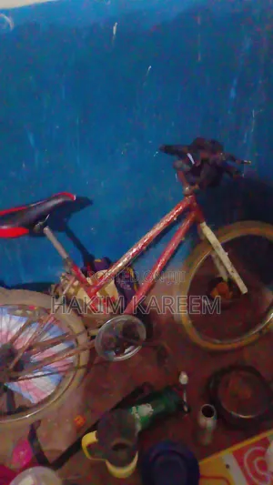 Bicycle Red
