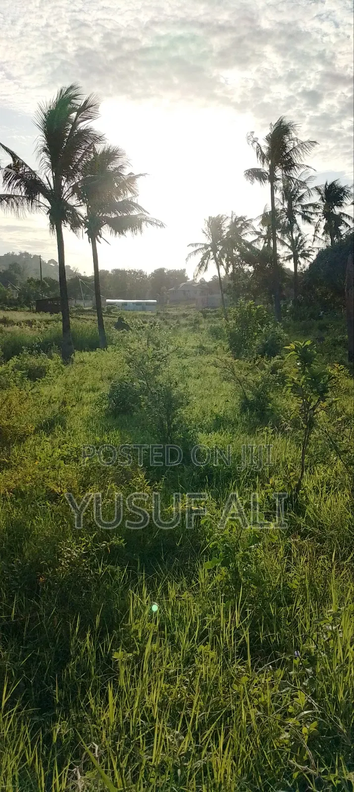 Residential Plots