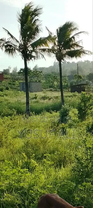 Residential Plots