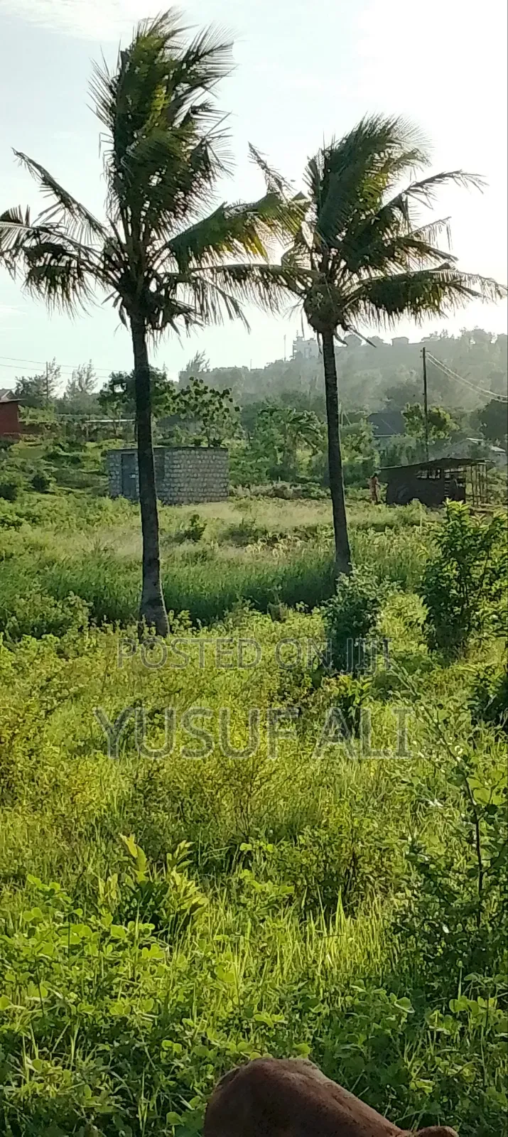 Residential Plots