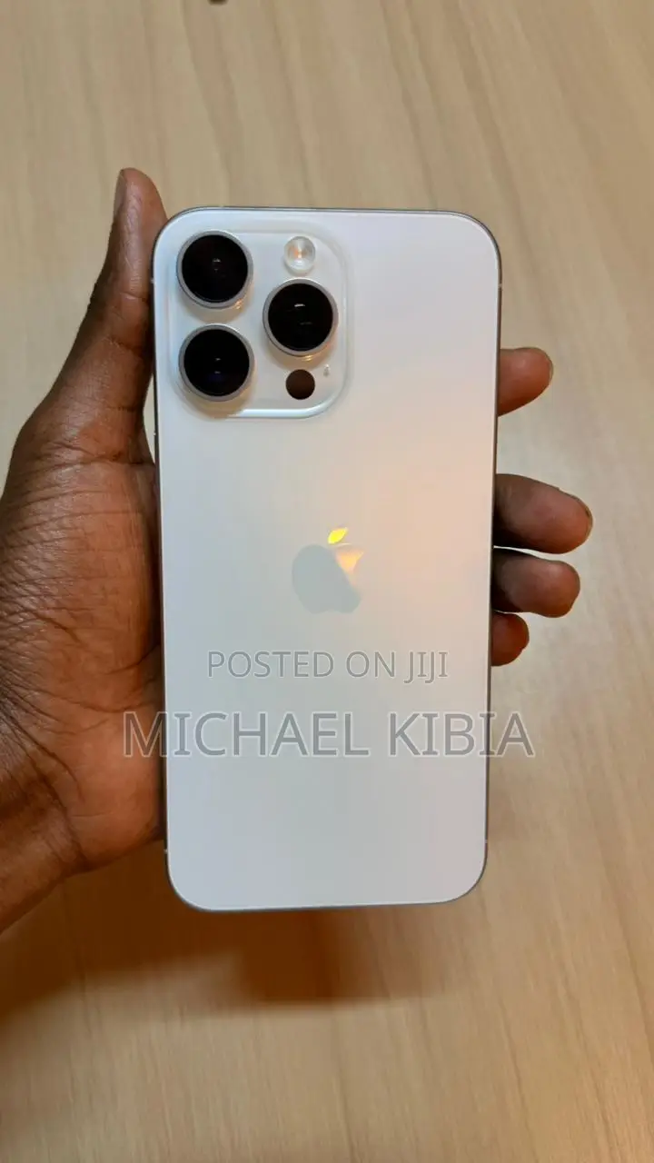 Apple iPhone 15 Pro 256 GB Silver
