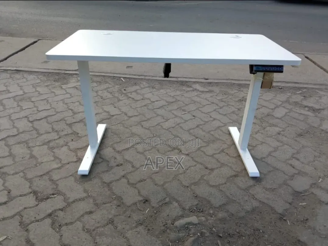 Electric Adjustable Height Office Desk