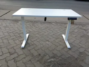 Electric Adjustable Height Office Desk