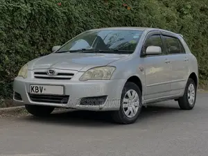 Toyota Corolla RunX 2006 Silver