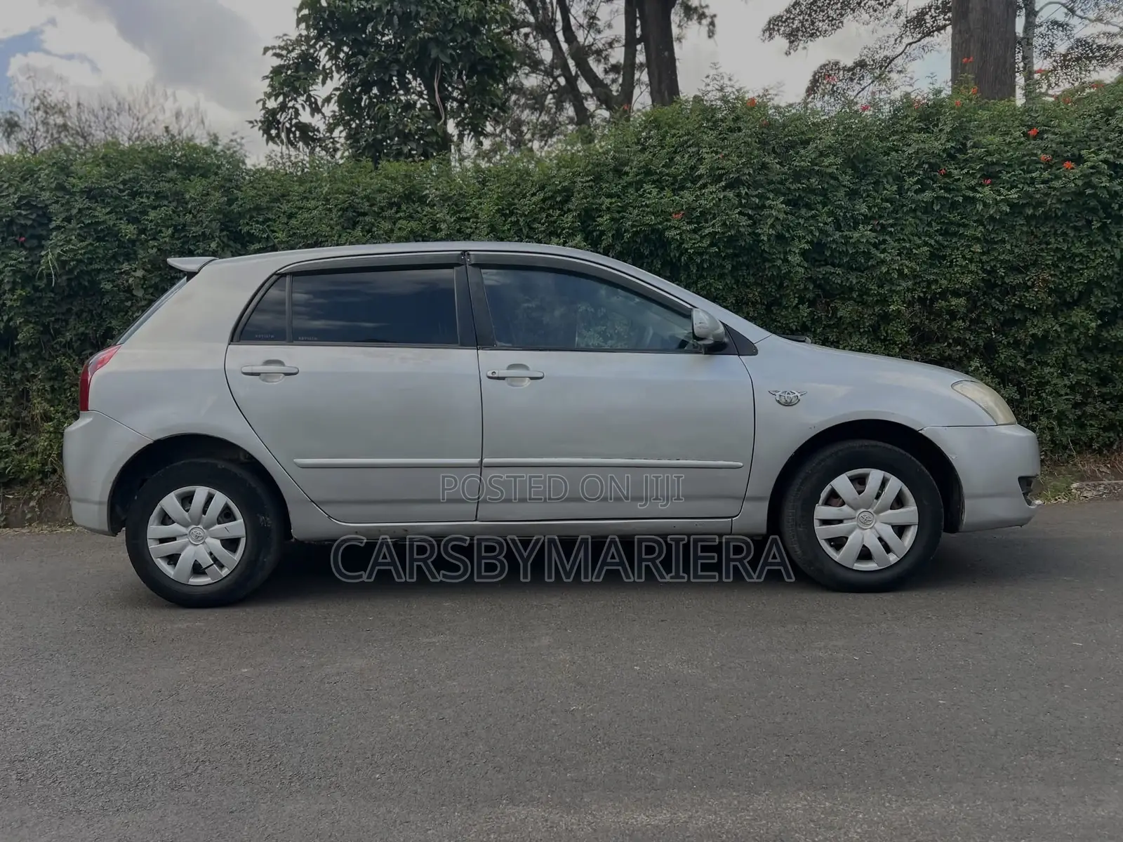 Toyota Corolla RunX 2006 Silver