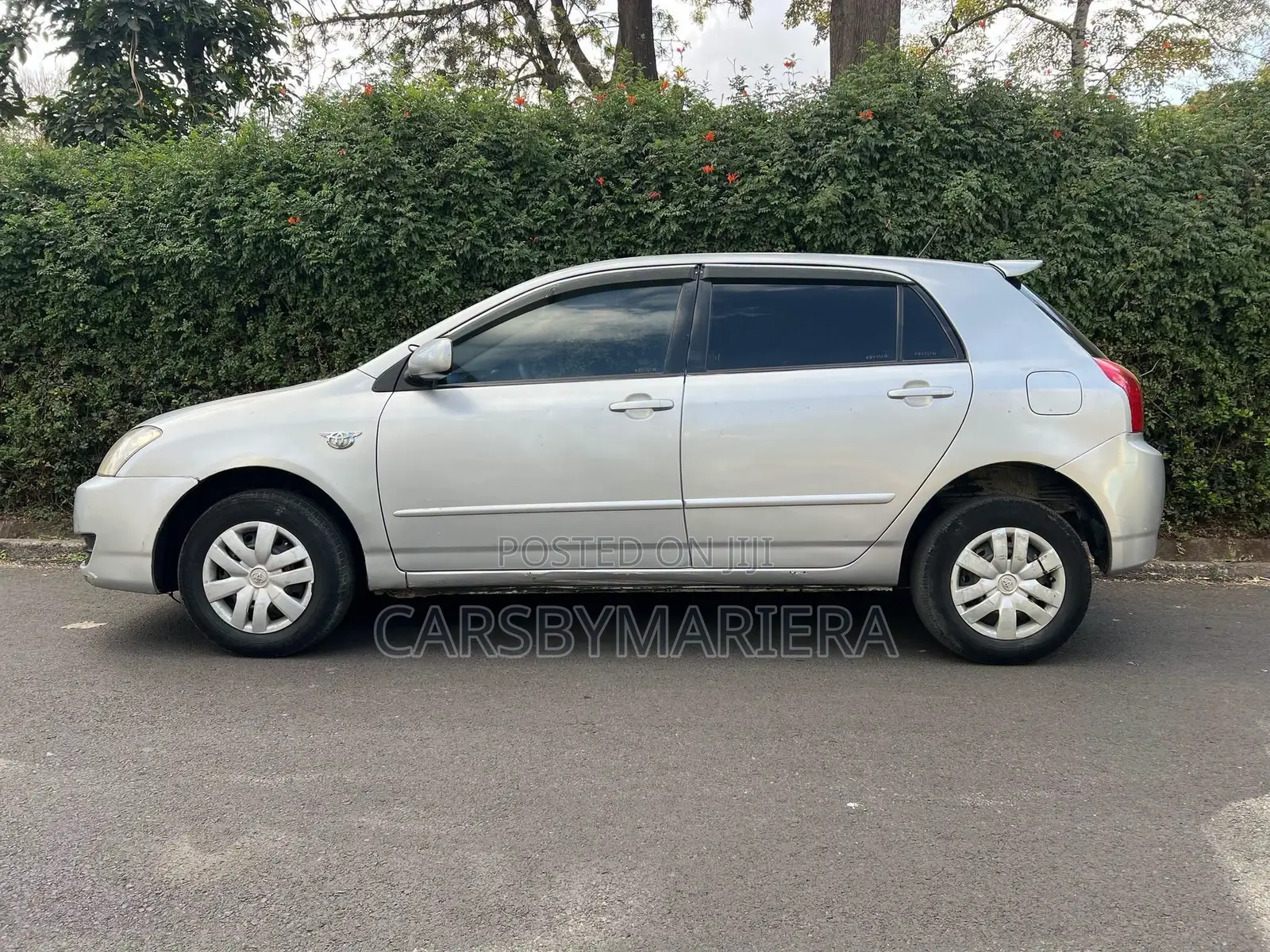 Toyota Corolla RunX 2006 Silver