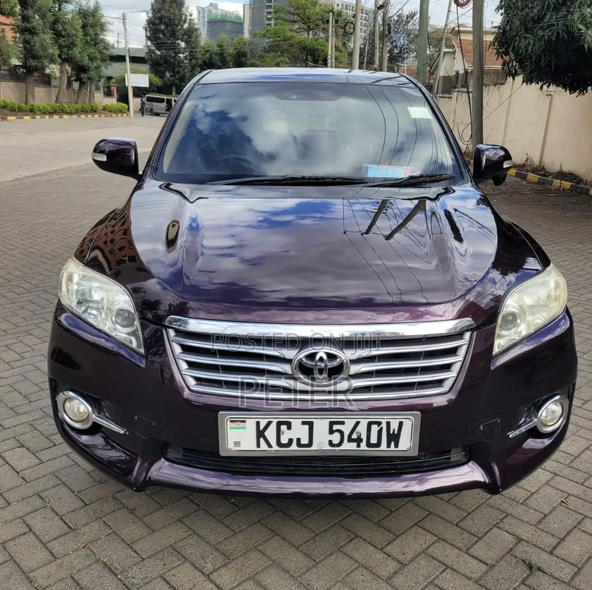 Toyota Vanguard 2011 Purple