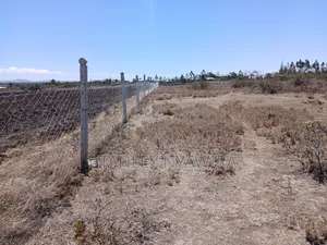 2 Acreas Nanyuki Mirera