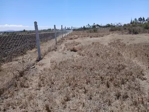2 Acreas Nanyuki Mirera